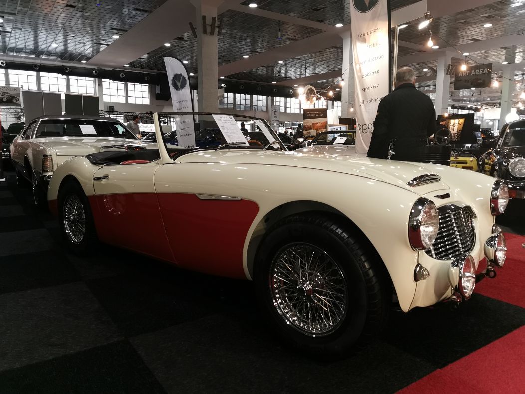 Austin-Healey 3000 Mk I BT7 1961 (1)