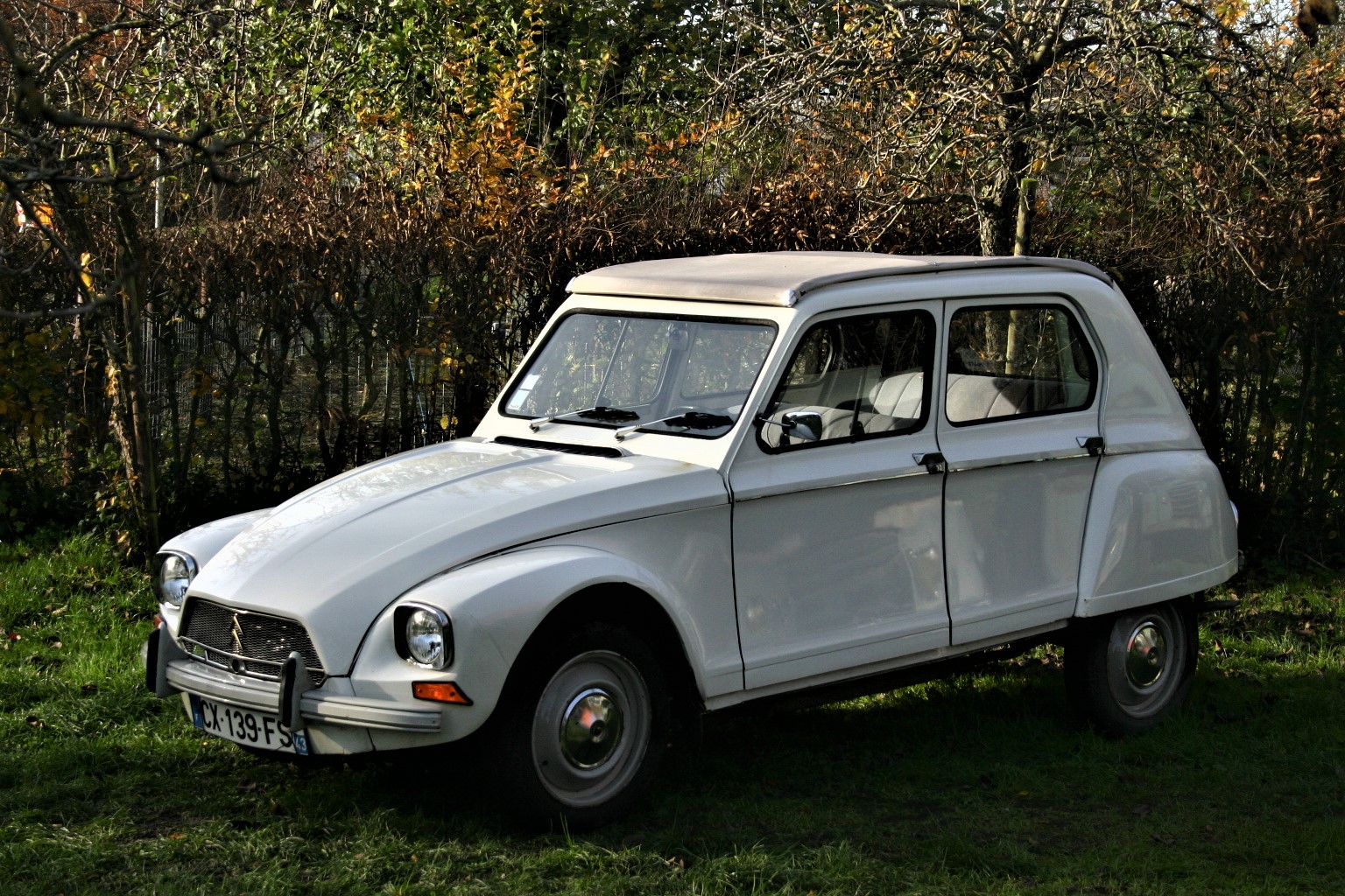 Citroën Dyane 6 (1)